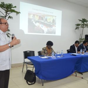Panel CES