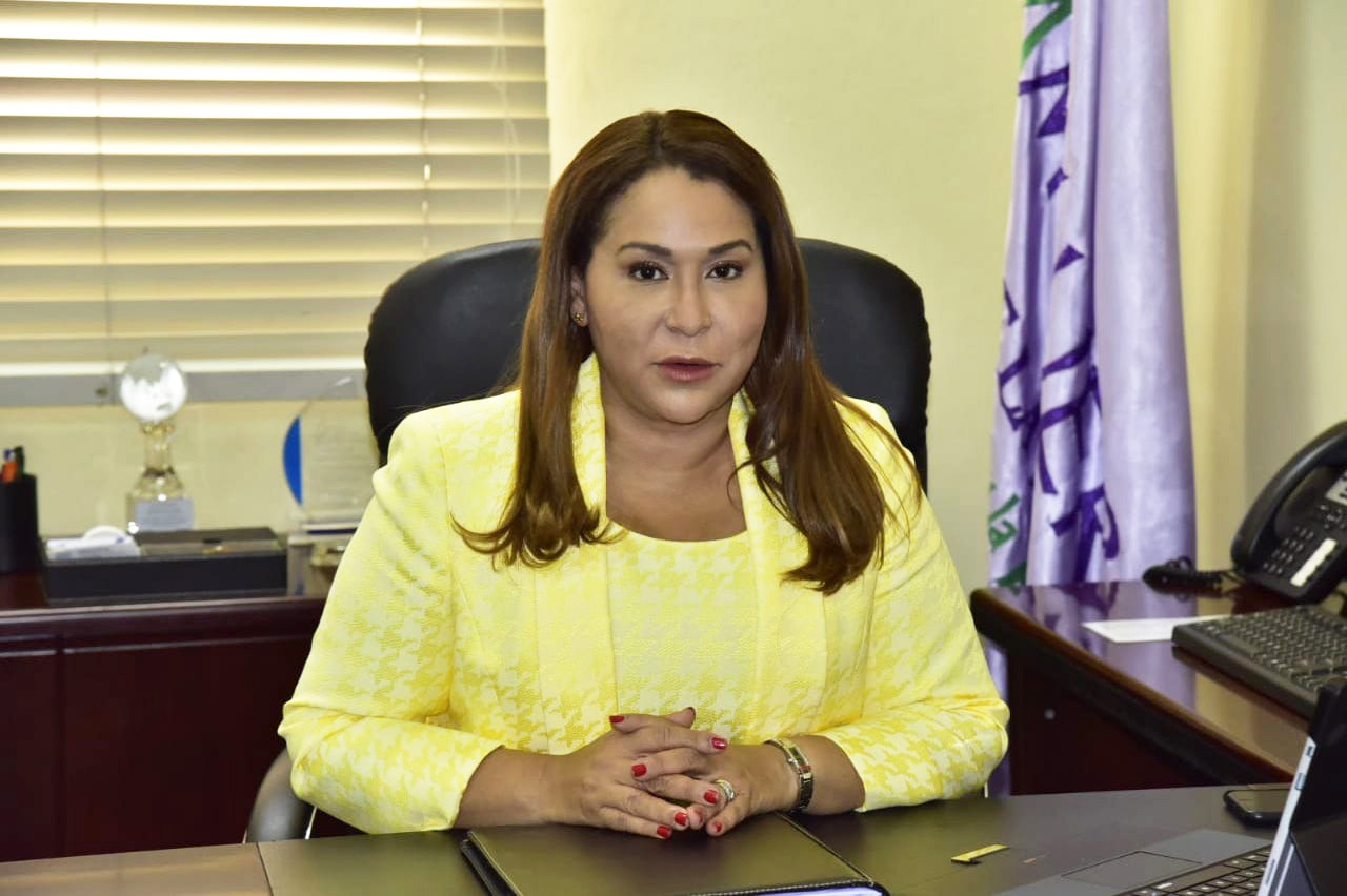 Ministra de la Mujer Participa en Seminario sobre Equidad de género desde la perspectiva de la Estrategia Nacional de Desarrollo